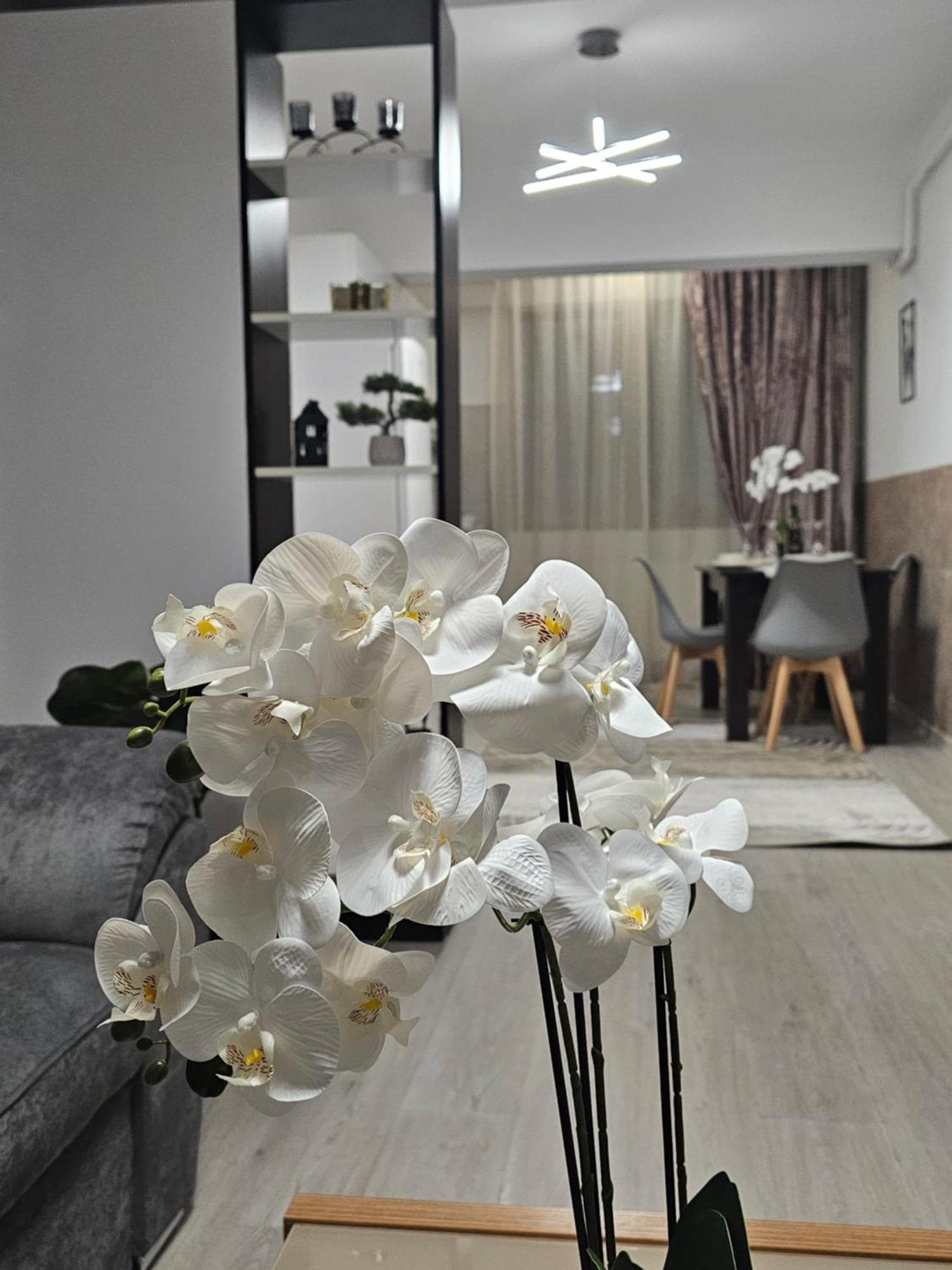 Enjoy My Home Near Palas Mall 2 Jászvásár Kültér fotó